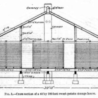 Sweet-Potato Storage 3.jpg