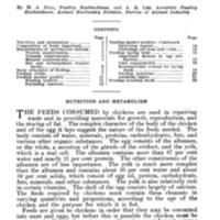 Feeding Chickens TOC.jpg