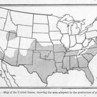 The Peanut Map.jpg