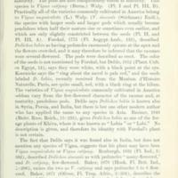Cow Pea History 16.jpg