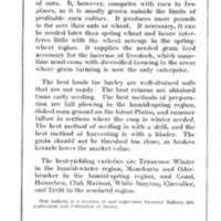 Barley culture, uses, and varieties introduction.jpg