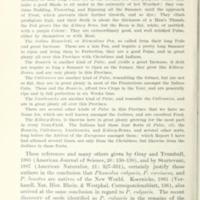 Cow Pea History 4.jpg