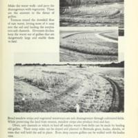 New Landmarks of Soil Conservation 6.jpg