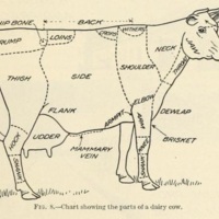 Lessons on Dairying for Rural Schools 6.jpg