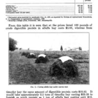 Legume Hays for Milk Production 3.jpg