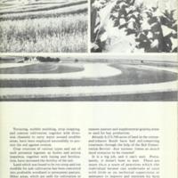 The Cotton and Tobacco South 10.jpg