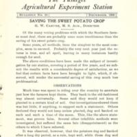 Saving the Sweet Potato Crop 1.jpg