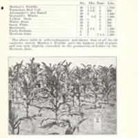 Increasing the Yield of Corn 3.jpg