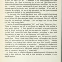 Preserving Eggs 7.jpg