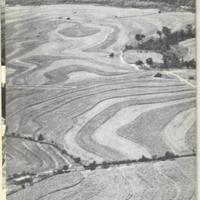The Cotton and Tobacco South 19.jpg