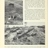 New Landmarks of Soil Conservation 9.jpg