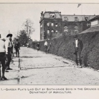 School Gardens 5.jpg
