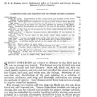Sweet-Potato Diseases TOC.jpg