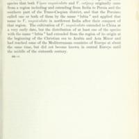 Cow Pea History 20.jpg