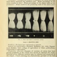 Lessons on Cotton for Elementary Schools 4.jpg