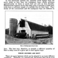 Legume Hays for Milk Production 4.jpg