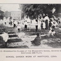School Gardens 8.jpg