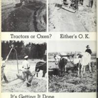 The Cotton and Tobacco South 17.jpg