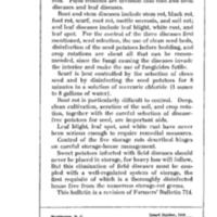 Sweet-Potato Diseases introduction.jpg