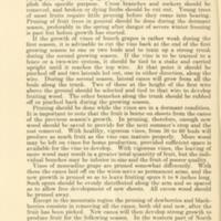 The home fruit garden in the Southeastern and Central Southern States 7.jpg