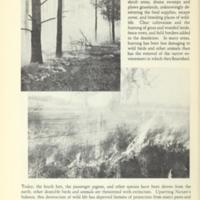 New Landmarks of Soil Conservation 13.jpg