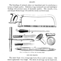 Killing Hogs and Curing Pork 1.jpg