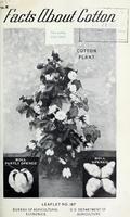 Facts About Cotton Cover.jpg