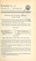 Pruning and Training Tomatoes in the South 1.jpg