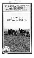 How to Grow Alfalfa Cover.jpg