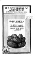 The Dasheen Cover.jpg