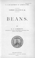 Beans cover.jpg