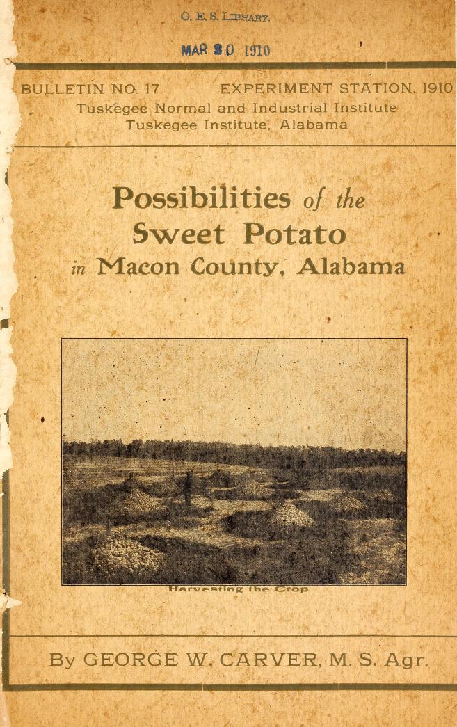 Possibilities of the Sweet Potato in Macon County, Alabama cover