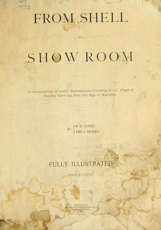 From Shell to Show Room.jpg