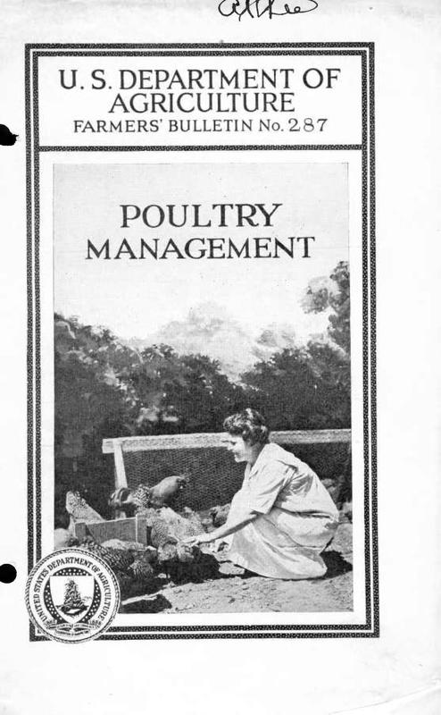 Poultry Management.jpg Poultry Management.jpg