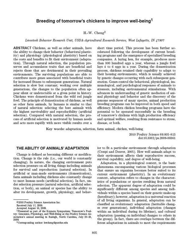 Breeding of Tomorrows Chickens to Improve Well-Being.jpg