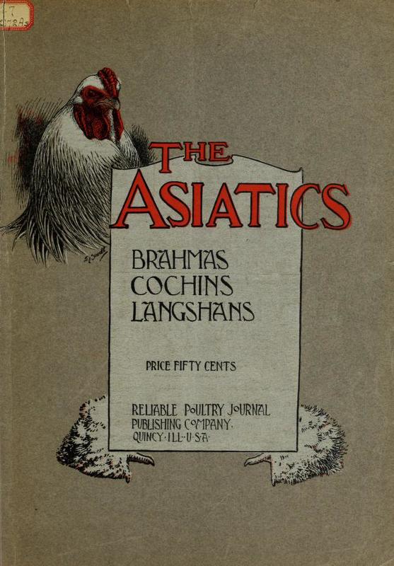 The Asiatics.jpg