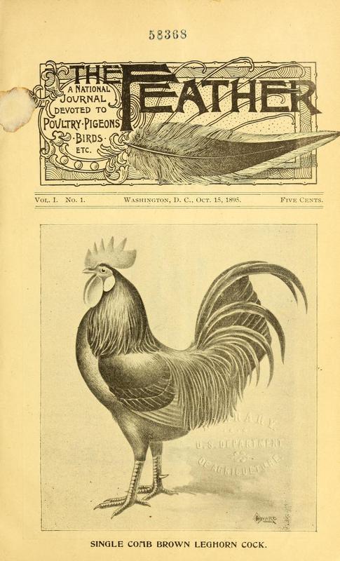 The Feather Volume 1 Number 1.jpg