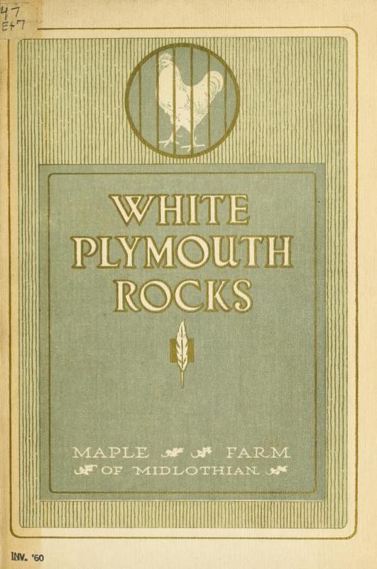 White Plymouth Rocks.jpg
