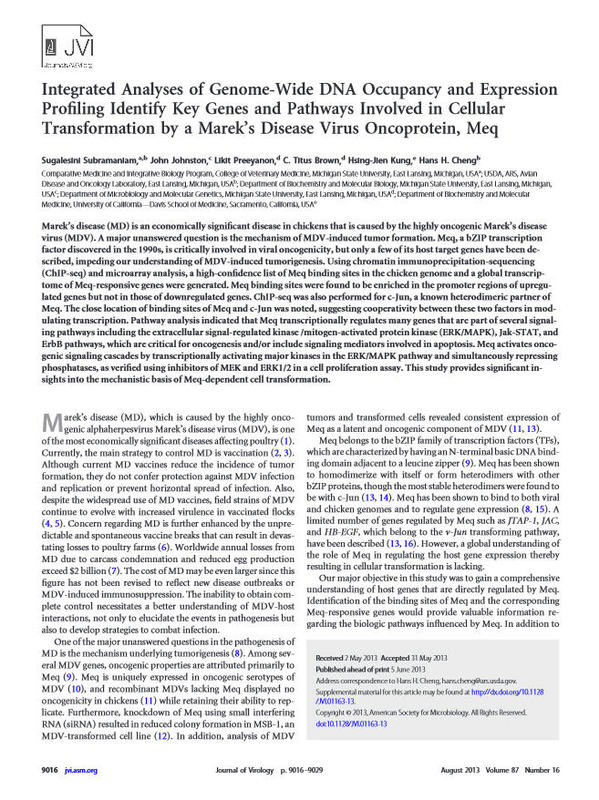Integrated Analyses of Genome-Wide DNA Occupancy and Expression Profiling Identify Key Genes and Pathways Involved in Cellular Transformation by a Marek’s Disease Virus Oncoprotein Meq.jpg