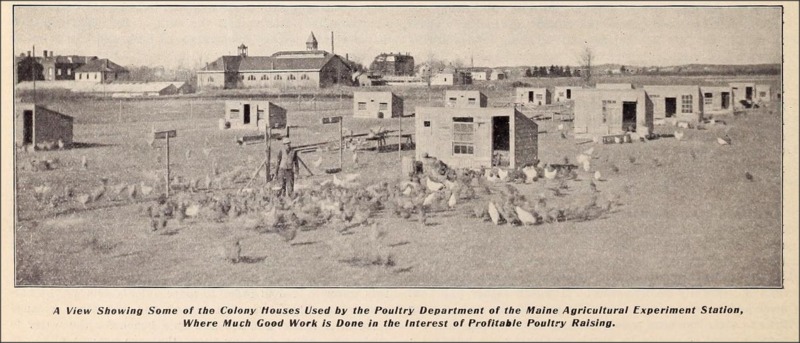 Maine Agricultural Experiment Station.png