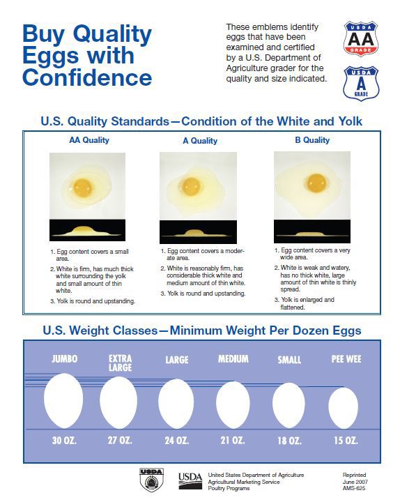 Buy Quality Eggs With Confidence.jpg