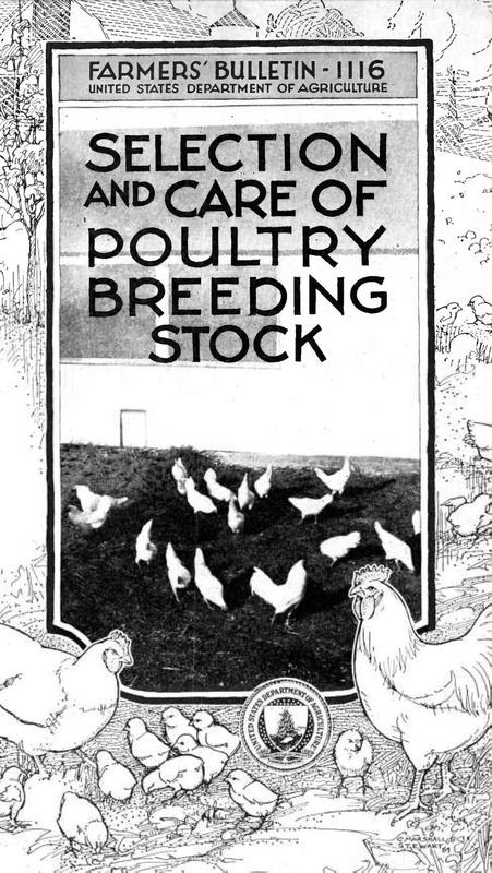 Selection and Care of Poultry Breeding Stock.jpg Selection and Care of Poultry Breeding Stock.jpg