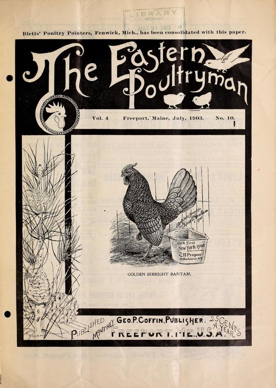 A Start in The Fancy Cover.jpg