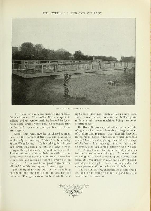 Bricault Cyphers Profile.jpg
