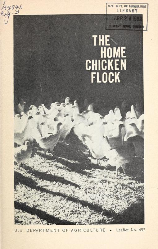 TheHomeChickenFlock.jpg TheHomeChickenFlock.jpg