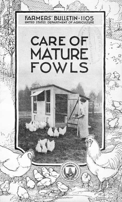 Care of Mature Fowls.jpg Care of Mature Fowls.jpg