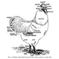 TheAmericanClass3.jpg