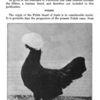 OrnamentalBreedsandVarieties4.jpg
