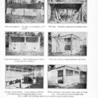 Farmers Bulletin 1113-7.jpg