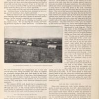 Egg Yielding Capacity of Hens 5.jpg